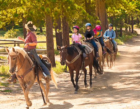 Horse Riding activity holiday